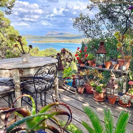 Villa Khepri Porto Rotondo Dış mekan fotoğraf