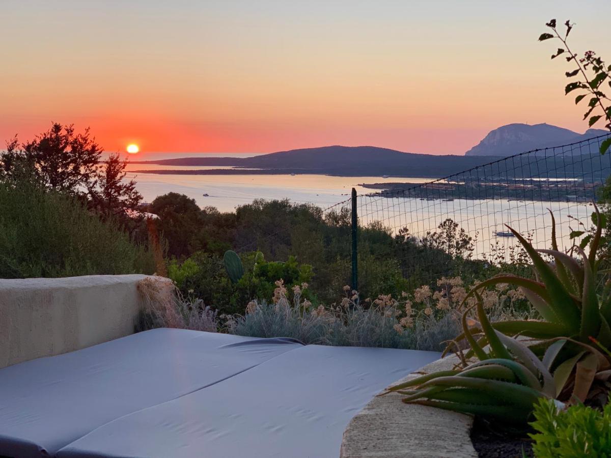 Villa Khepri Porto Rotondo Dış mekan fotoğraf