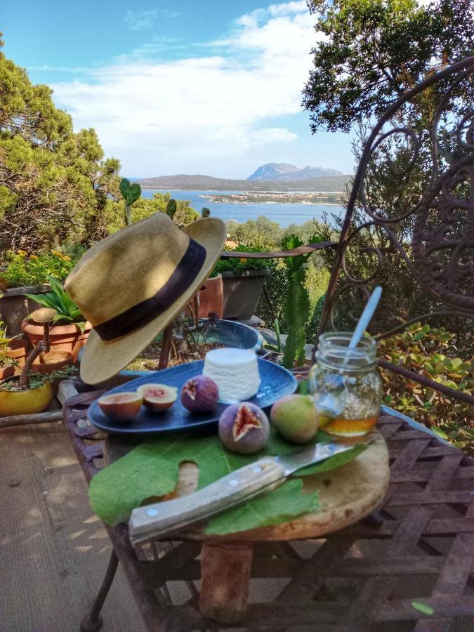 Villa Khepri Porto Rotondo Dış mekan fotoğraf