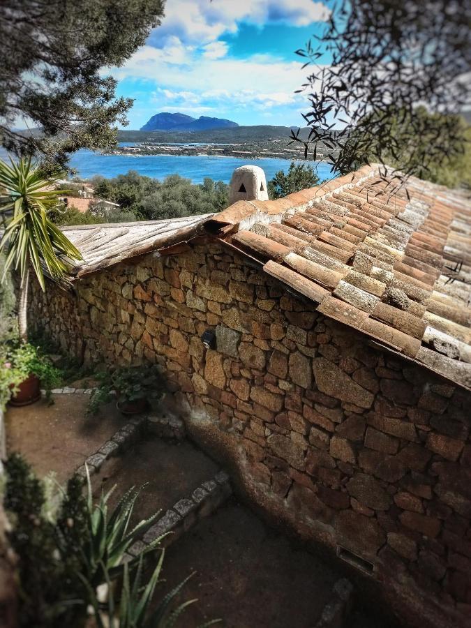 Villa Khepri Porto Rotondo Dış mekan fotoğraf