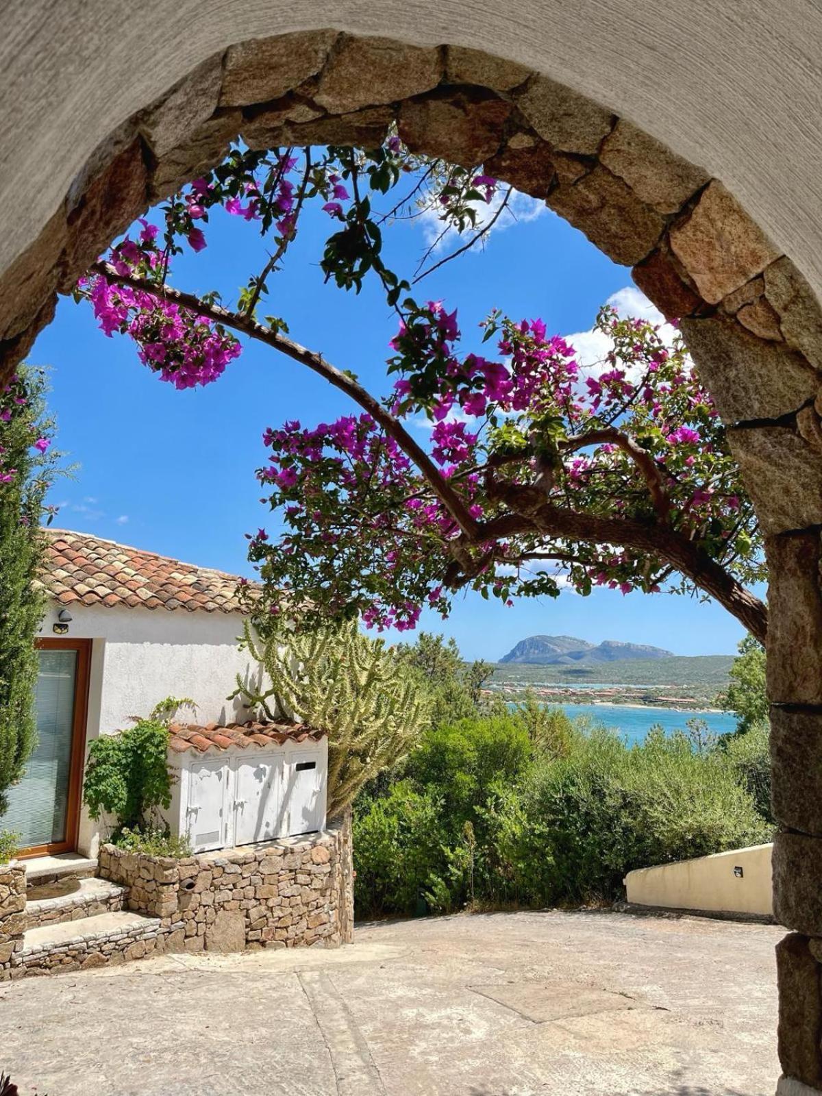 Villa Khepri Porto Rotondo Dış mekan fotoğraf