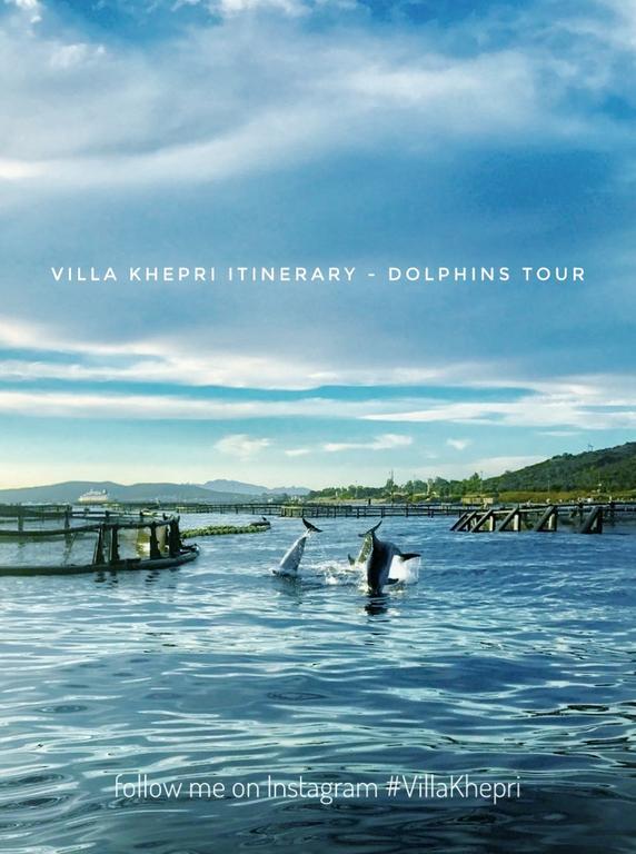 Villa Khepri Porto Rotondo Dış mekan fotoğraf