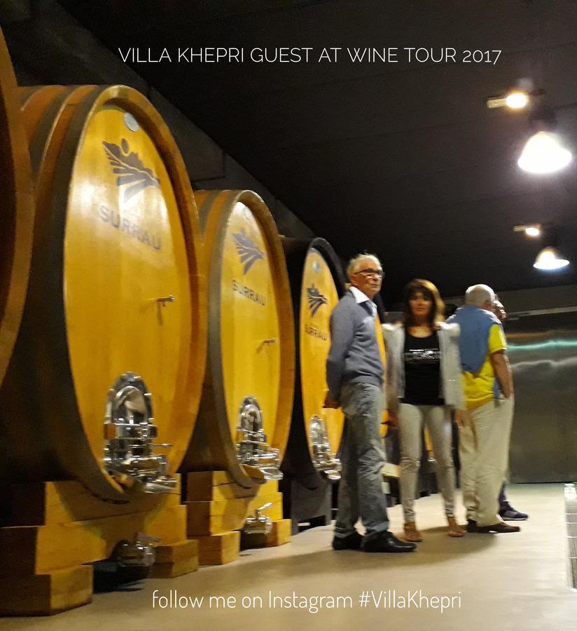 Villa Khepri Porto Rotondo Dış mekan fotoğraf